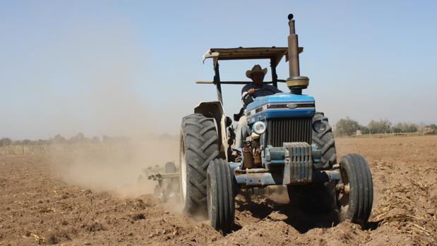 Detenido por cuatro robos en casas de campo y explotaciones agrícolas de Lebrija y Las Cabezas