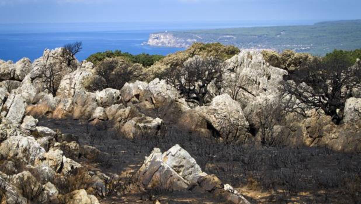 La sierra del Retín ha sufrido un nuevo incendio.