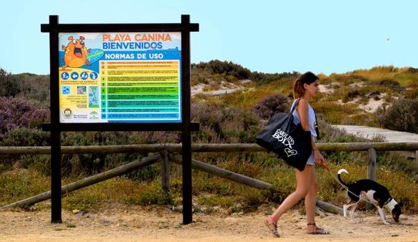 Entrada a la playa en la que se puede llevar a las mascotas.