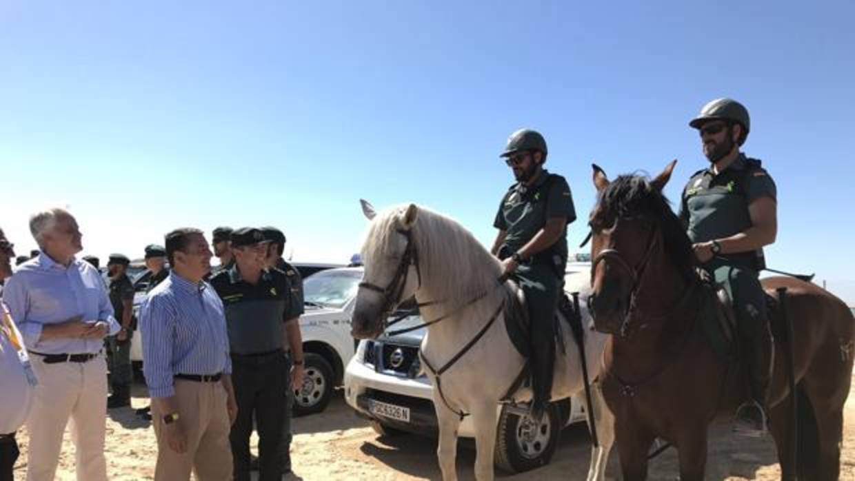 Sanz destaca la labor de los 443 agentes que vigilan las Carreras de Caballos