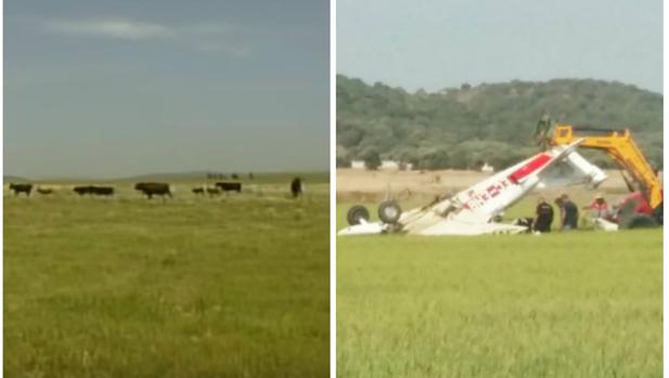 Fallece un piloto al chocar su avioneta con una cigüeña en Barbate