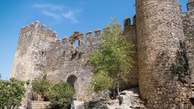 El castillo donde los jabalíes se aguzaban los colmillos