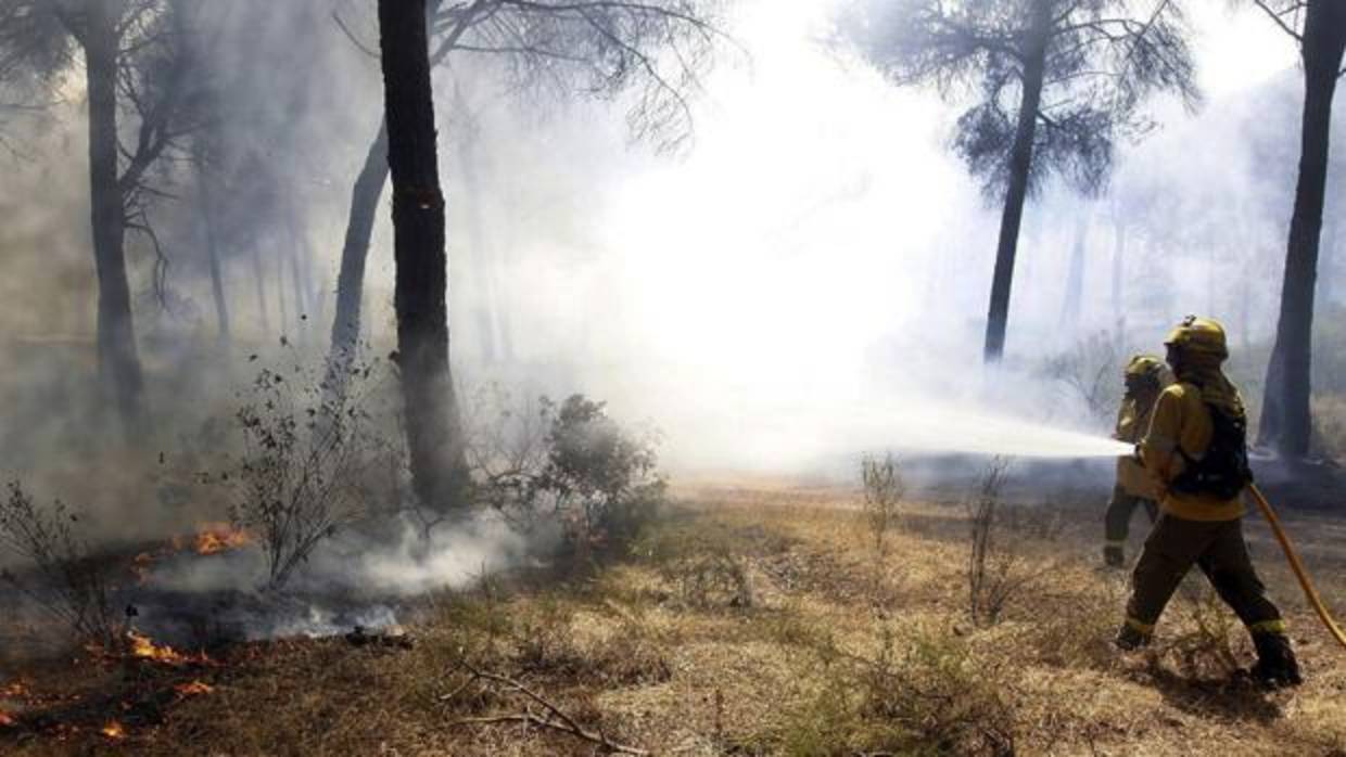 Efectivos del Infoca trabajando en un incendio forestal