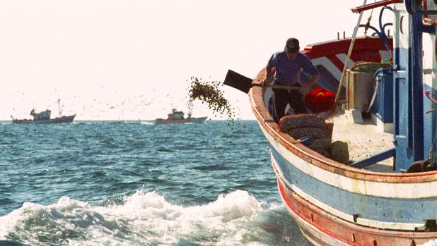 La Junta aumentará la pesca de la chirla en el Golfo de Cádiz