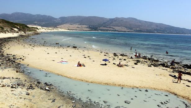 En los últimos años se ha disparado la demanda en El Palmar.