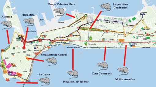 Plano del Partido Popular con la distribución de roedores en la capital.