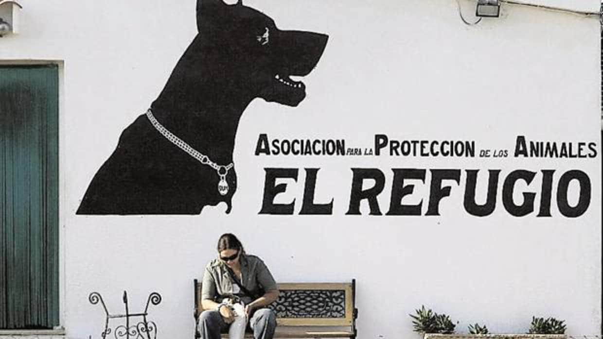 Absueltos de maltrato animal los responsables de la perrera de Puerto Real