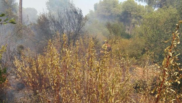 El incendio de Villamanrique de la Condesa, que partió de tres focos, afecta a 13 hectáreas