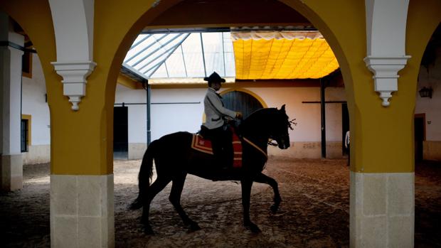 La Escuela de Arte Ecuestre presenta en Jerez la gala para personas mayores