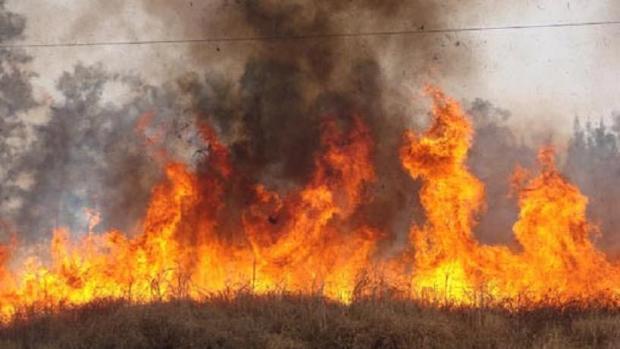 Condenado por quemar rastrojos que derivaron en un incendio de seis hectáreas