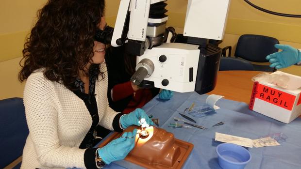 Especialistas en oftalmología aprenden las técnicas más avanzadas en cirugía de glaucoma