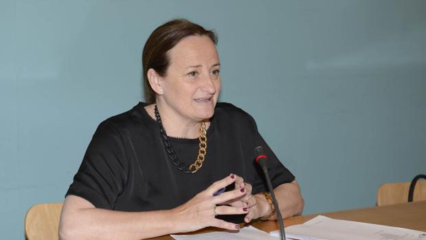 PSOE: «Loaiza empieza el año mintiendo y confrontando»