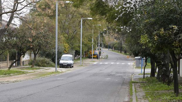 El Ayuntamiento sustituirá en Simón Verde once árboles que suponen un peligro por su mal estado