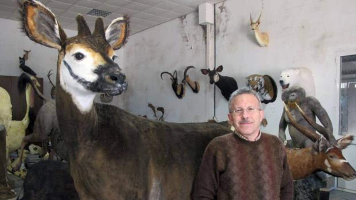 Salvatore Rabito con un okapi, una de sus últimas obras