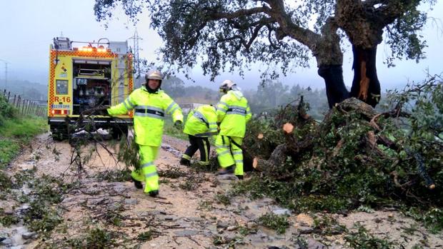 Bomberos realiza casi 100 actuaciones a causa de la borrasca 'Emma' en Cádiz