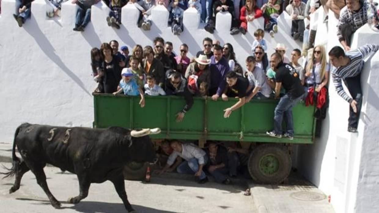 Toto del Aleluya, en Arcos