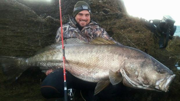 Pesca en Cádiz una corvina de ¡43 kilos!: un récord en España