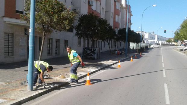 El Ayuntamiento de Chiclana mejora la seguridad en la carretera de Medina