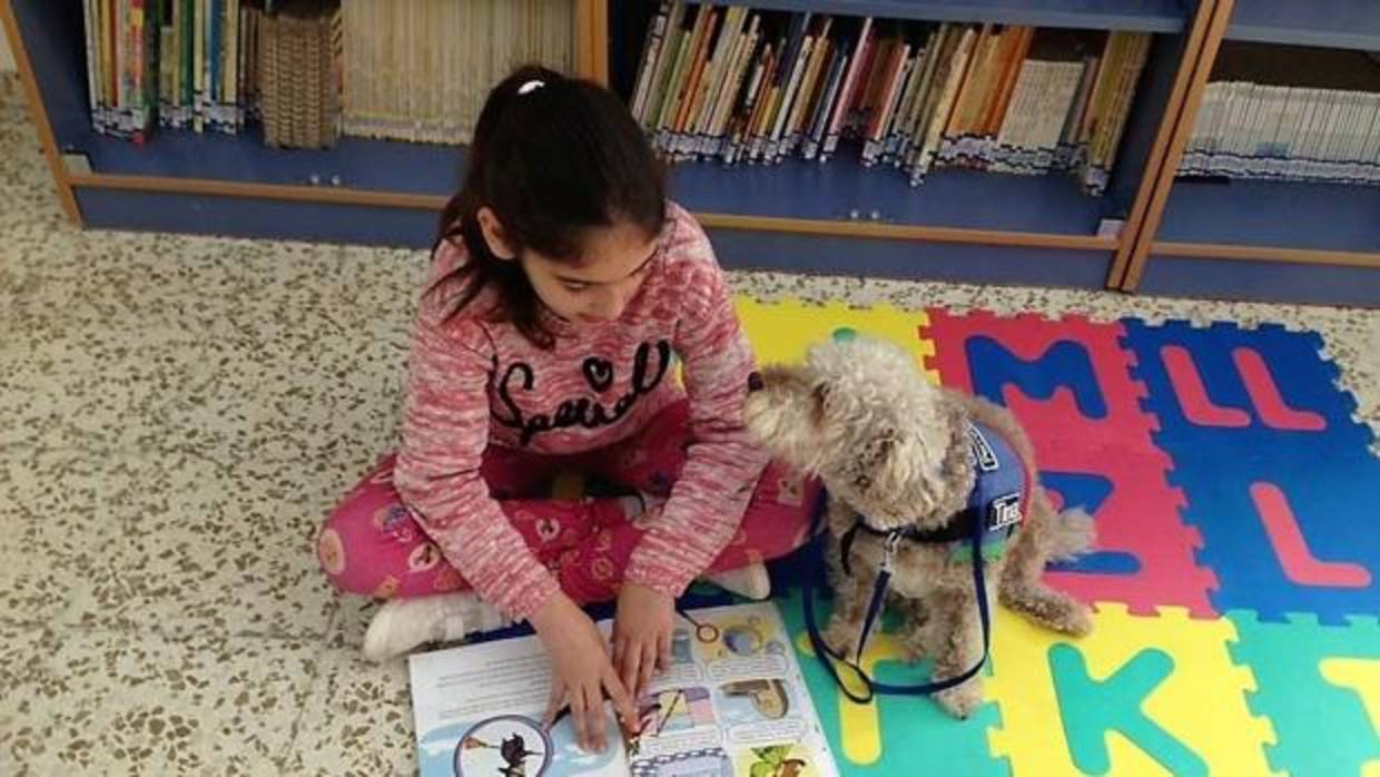 El colegio Adolfo de Castro acoge un programa de lectura con ayuda de perros