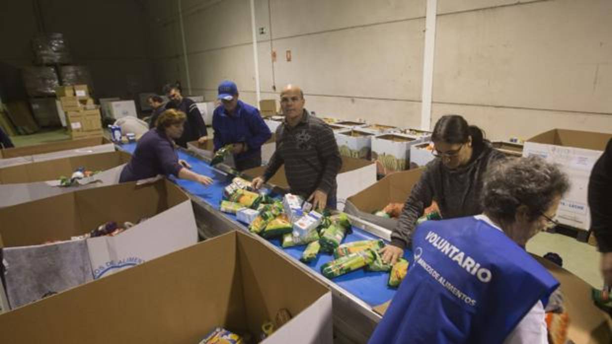 CSIF organiza la I Ruta Moto Solidaria en beneficio del Banco de Alimentos de Cádiz