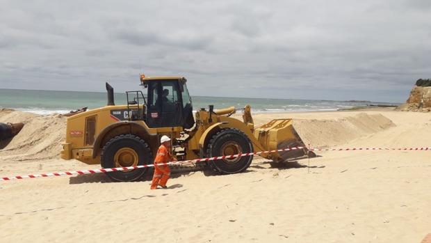 Comienza la regeneración de La Barrosa