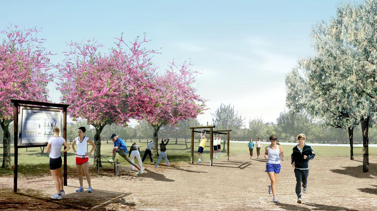 El parque Central, el nuevo pulmón verde de Mairena del Aljarafe que recuperará el arroyo Porzuna