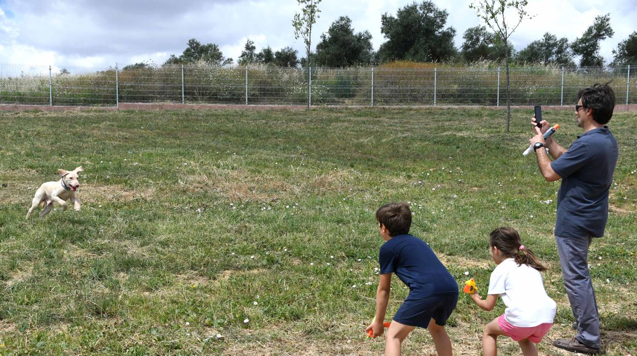 El mayor parque canino de la ciudad se encuentra en el parque Olivar del Zaudín