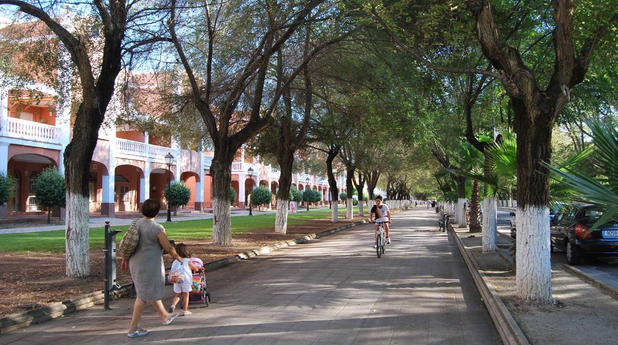 Comienza la nueva organización de las plazas de aparcamientos en el paseo de Consolación de Utrera