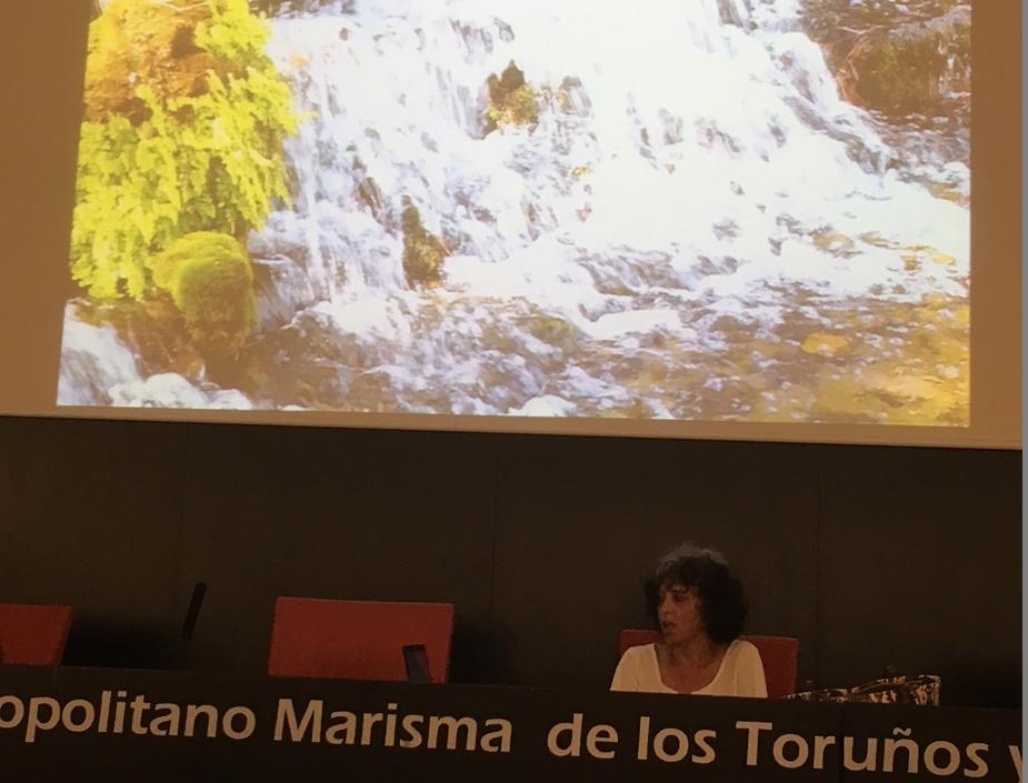 La arqueóloga Esperanza Mata divulgó el proyecto 'Aqua Ducta', sobre el Acueducto de Gades