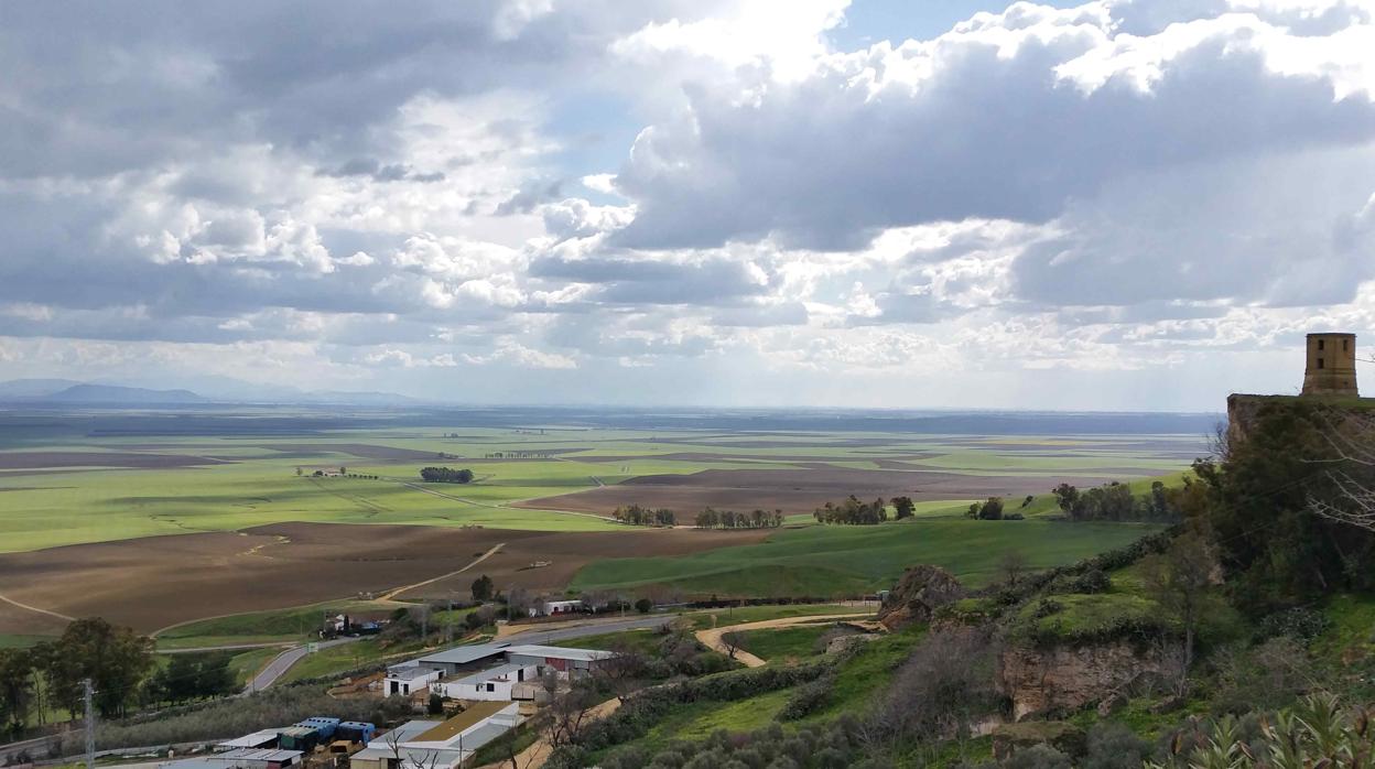 El cambio climático puede afectar a la economía de Carmona centrada en la agricultura y la ganadería