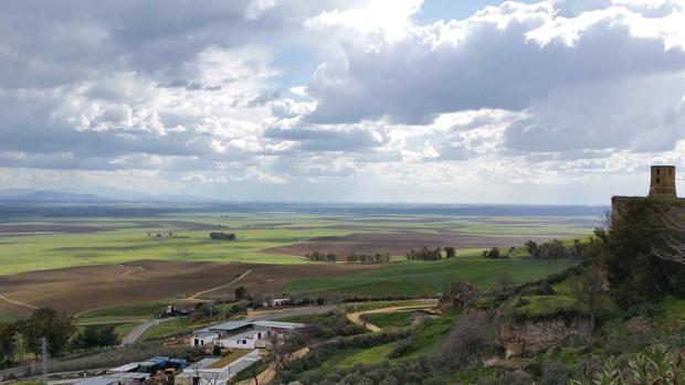 Carmona propone 41 medidas para adaptarse al cambio climático