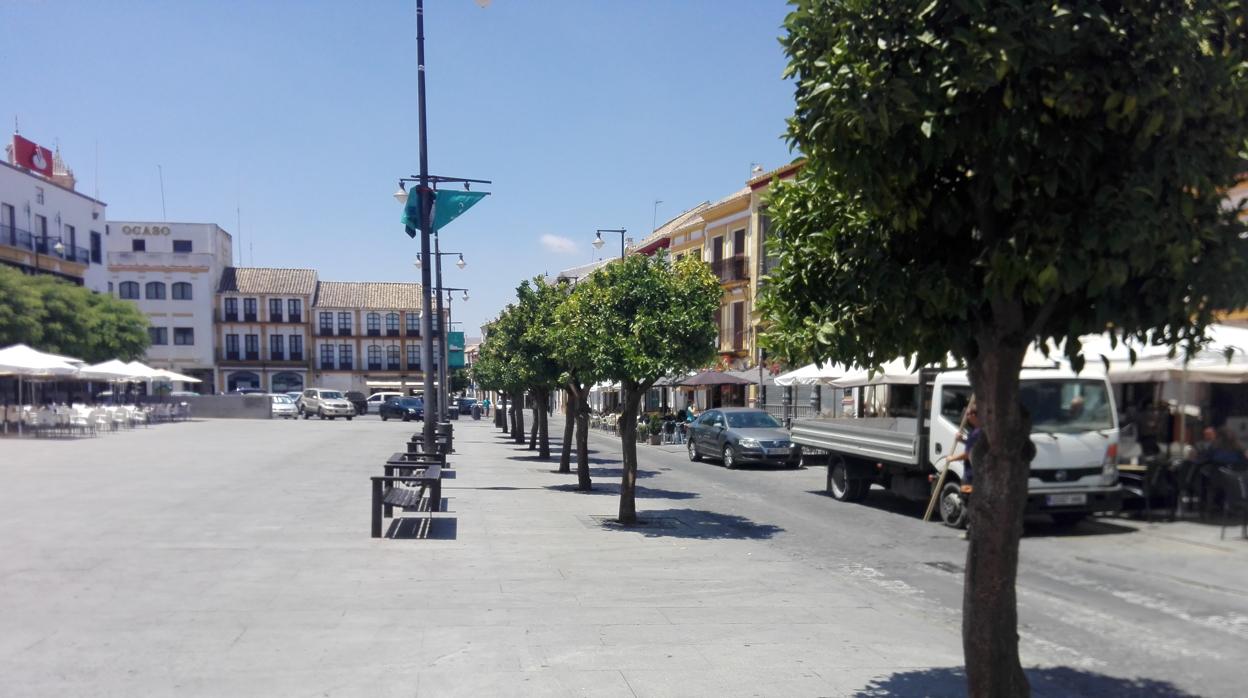 Los naranjos de la polémica son trece naranjos que se encuentran en la plaza del Altozano de Utrera