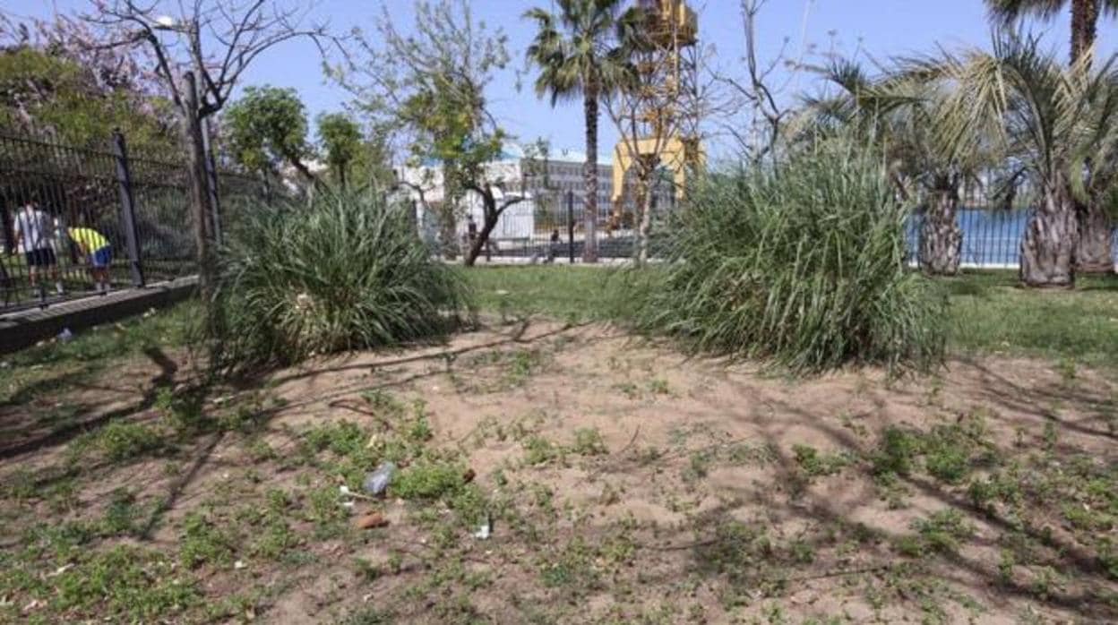 Los jardines de Cádiz están experimentando un deterioro por la falta de mantenimiento