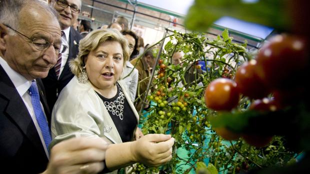 Clara Aguilera, exconsejera de Agricultura y Pesca, recibirá la Aceituna de Oro de la feria del Verdeo