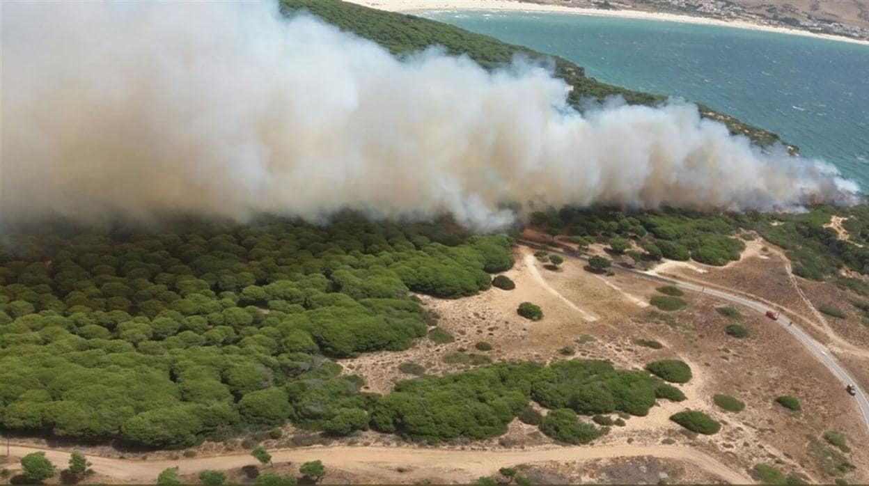 Más de 150 efectivos combaten el incendio de Punta Camarinal en Tarifa