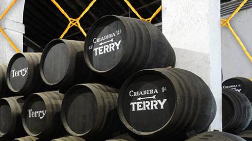 Bodegas Terry ofrecen 5 variedades de vino en sus bodegas