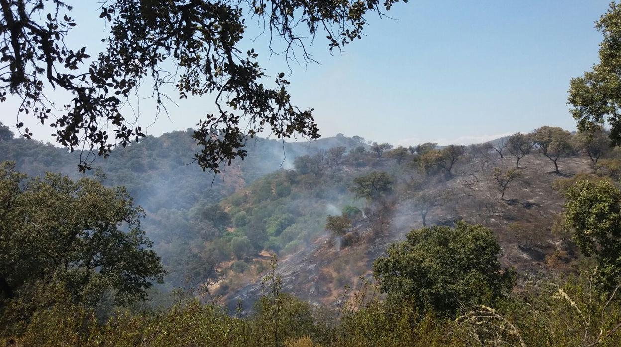 Imagen del incendio en el paraje Vega del Trabuco