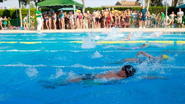 El club de natación de Umbrete se proclama campeón del circuito provincial de verano