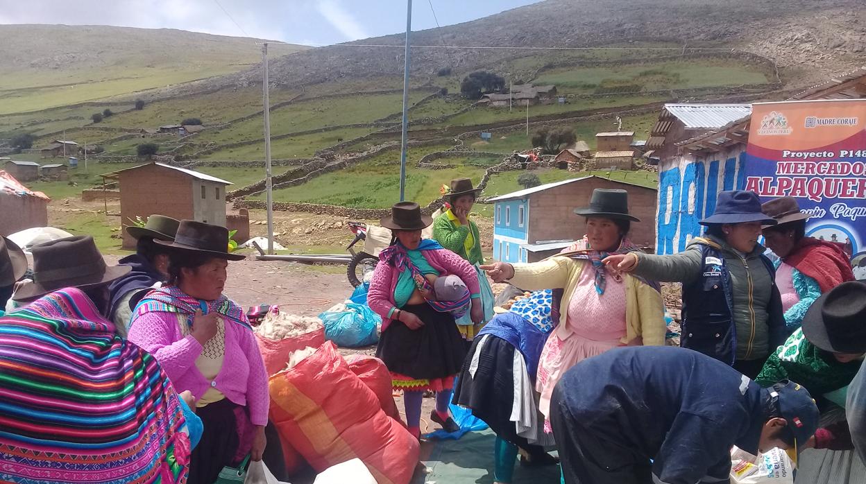 Madre Coraje y ‘la Caixa’ apoyan a más de 1.600 peruanos con su proyecto ‘Mercados alpaqueros’