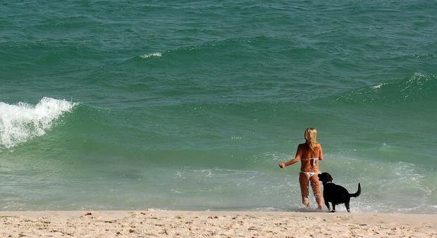 El Ayuntamiento comienza los trámites para que Algeciras cuente con un tramo de playa para perros