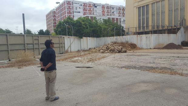 Nueve meses cruciales para el futuro de Cádiz