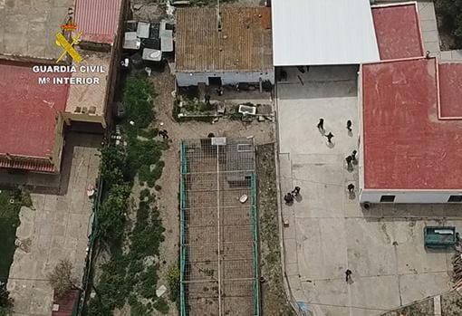 Incautan seis toneladas de hachís a una red de narcotraficantes que torturó a un joven en Sanlúcar