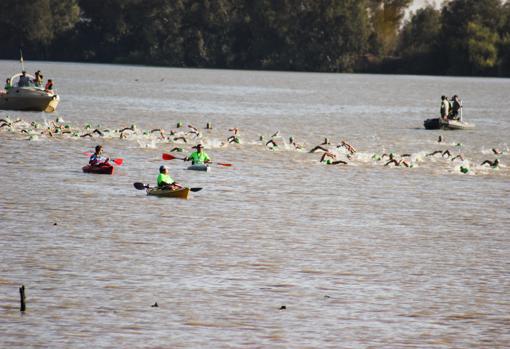 Los participantes nadarán 500 metros por el río Guadalquivir