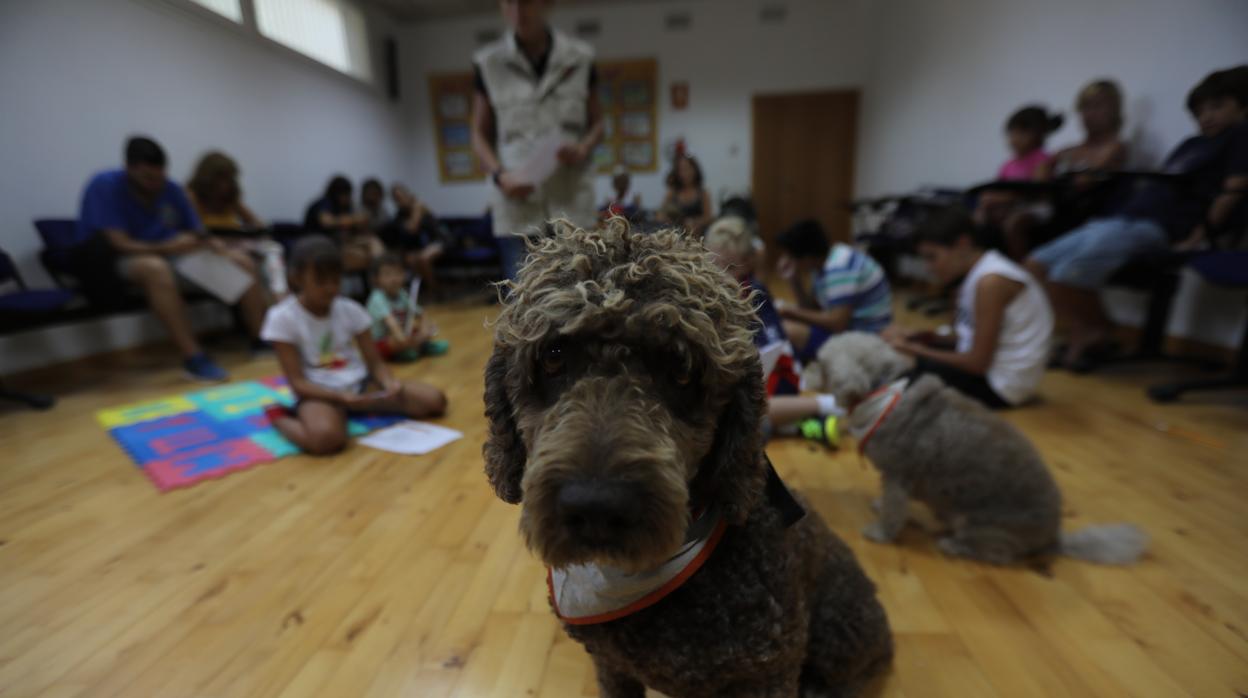 El mejor amigo también de los libros