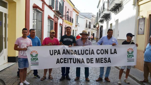 Cumbre en Utrera para analizar la complicada situación de la aceituna de mesa