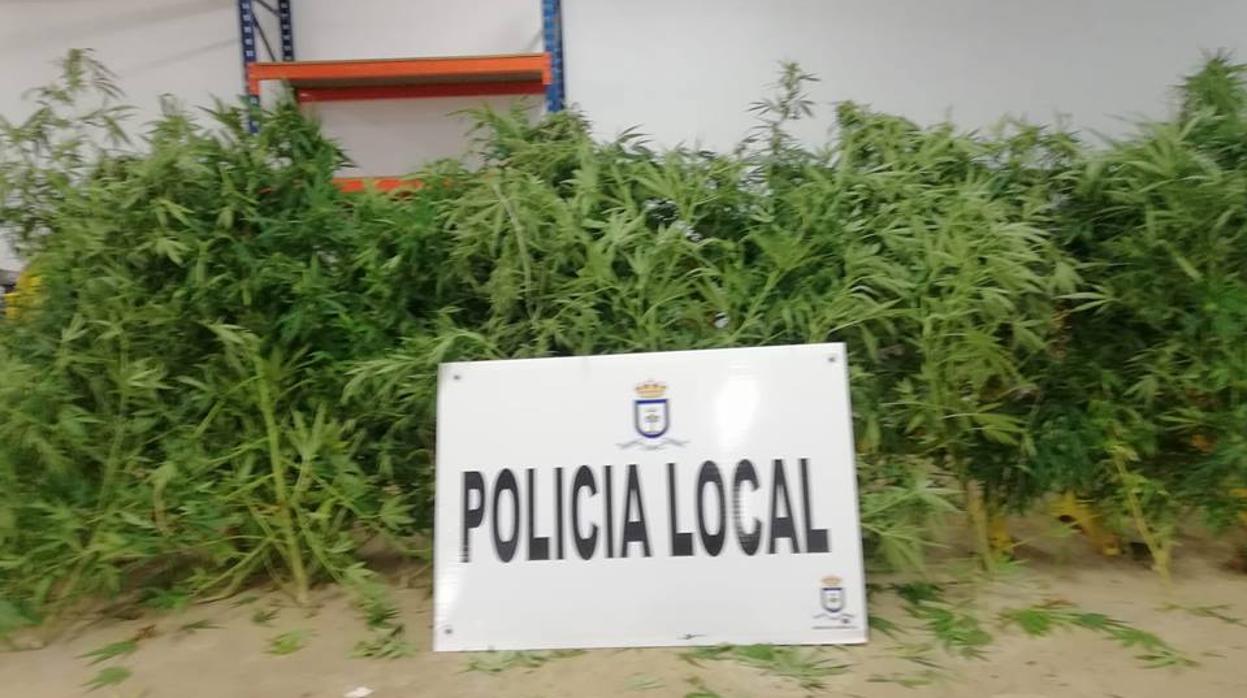 La Policía Local ha incautado once kilos de marihuana
