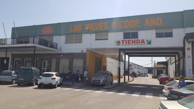 La Cooperativa de las Nieves recibirá la Medalla de la Villa de Los Palacios