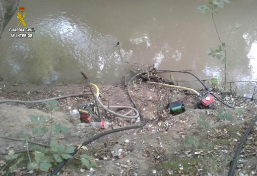 Regaban con agua del río Guadiamar una plantación de marihuana en Aznalcázar