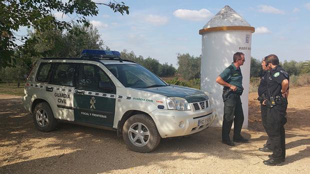 Los agricultores de Arahal vuelven a estar preocupados por los hurtos de aceitunas en el campo