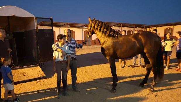 El regalo que el joven Pedro no esperaba tras mediar el alcalde de Carmona